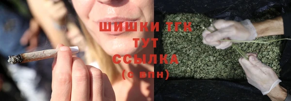 прущий лед Костерёво