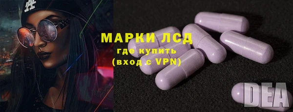 ПСИЛОЦИБИНОВЫЕ ГРИБЫ Козловка