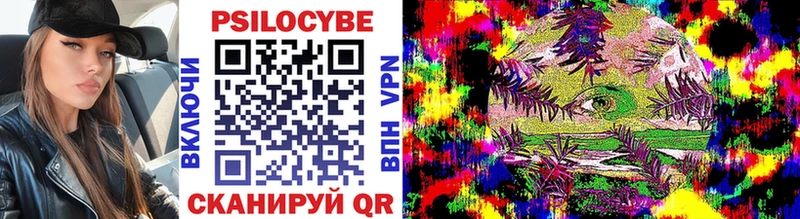 мега зеркало  Мичуринск  Псилоцибиновые грибы Psilocybe  купить  