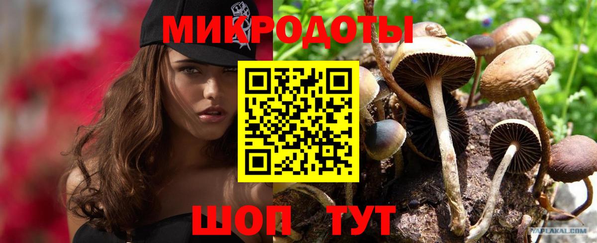 Галлюциногенные грибы Psilocybe  Вход с VPN  Мичуринск 
